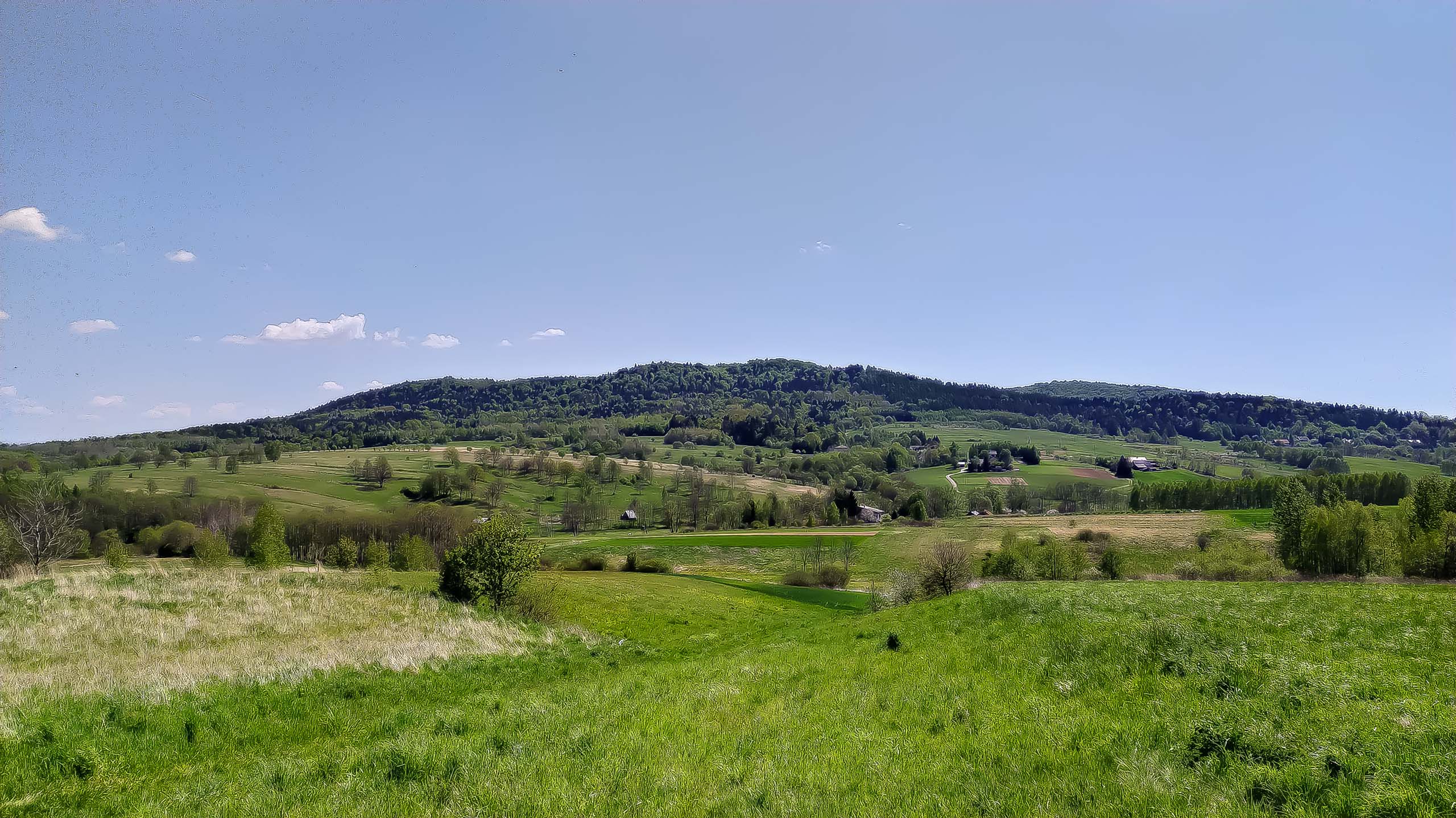 IMG 20200510 122526 kopia